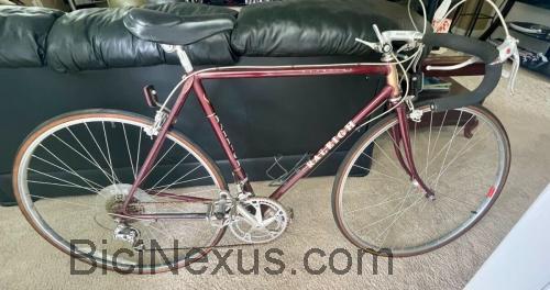 Raleigh Olympian ficha técnica y opiniones